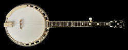 Goldtone OB-2 banjo